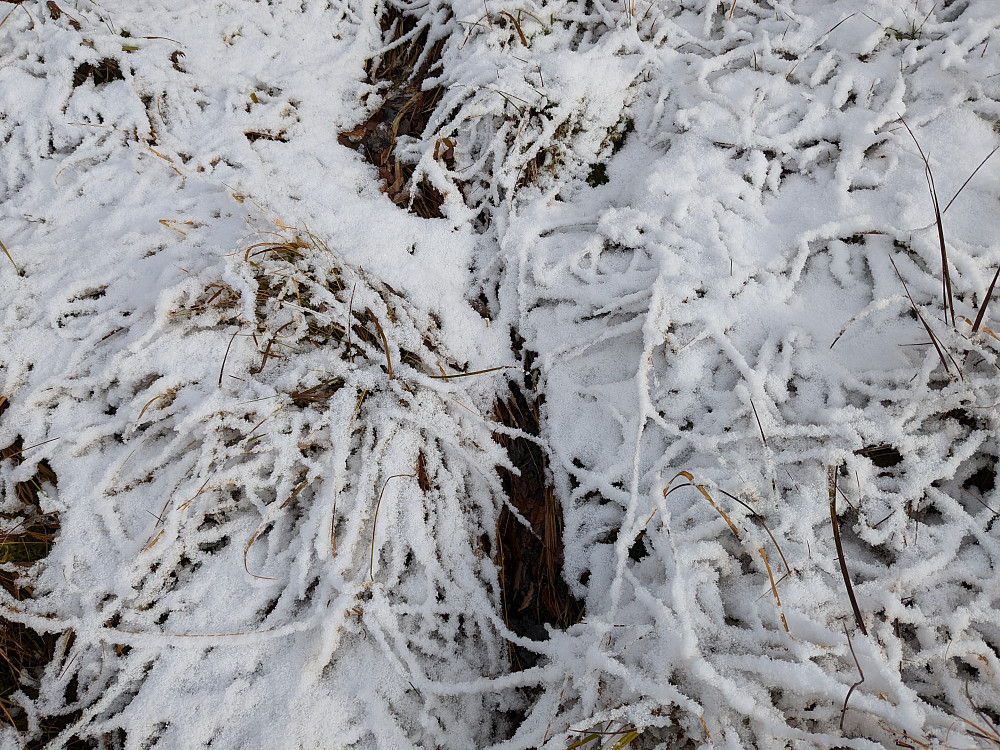 Snø