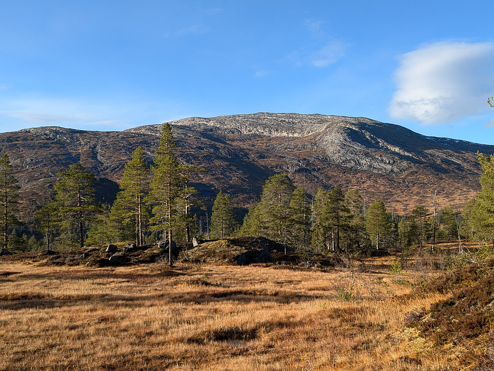 Utsikt mot Frøyningsfjellet