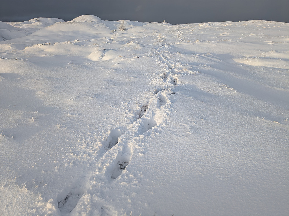 Snø mellom trigpunktet og høyeste punkt (399,6)