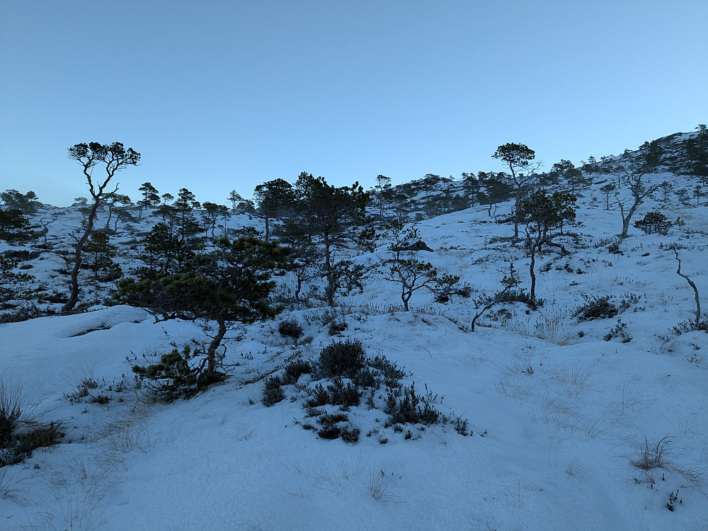 Snaufjellet