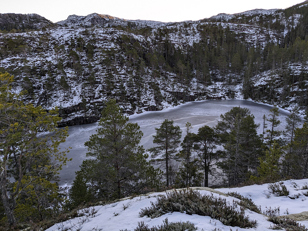 Svarttjønna