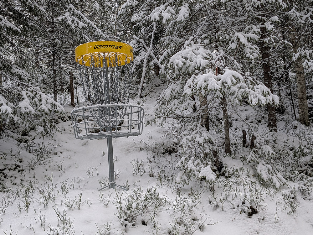 Frisbeegolf i Botnan