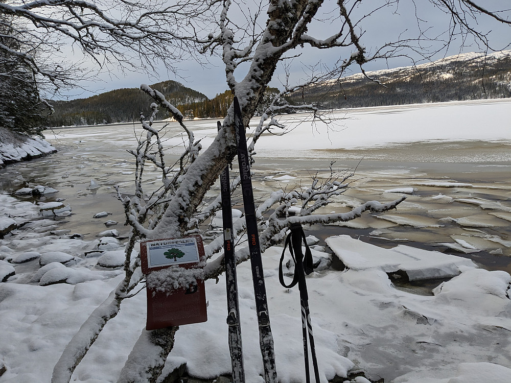 Naturperlekasse Røyklibotnet