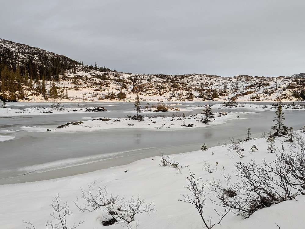 Finnburtjønna
