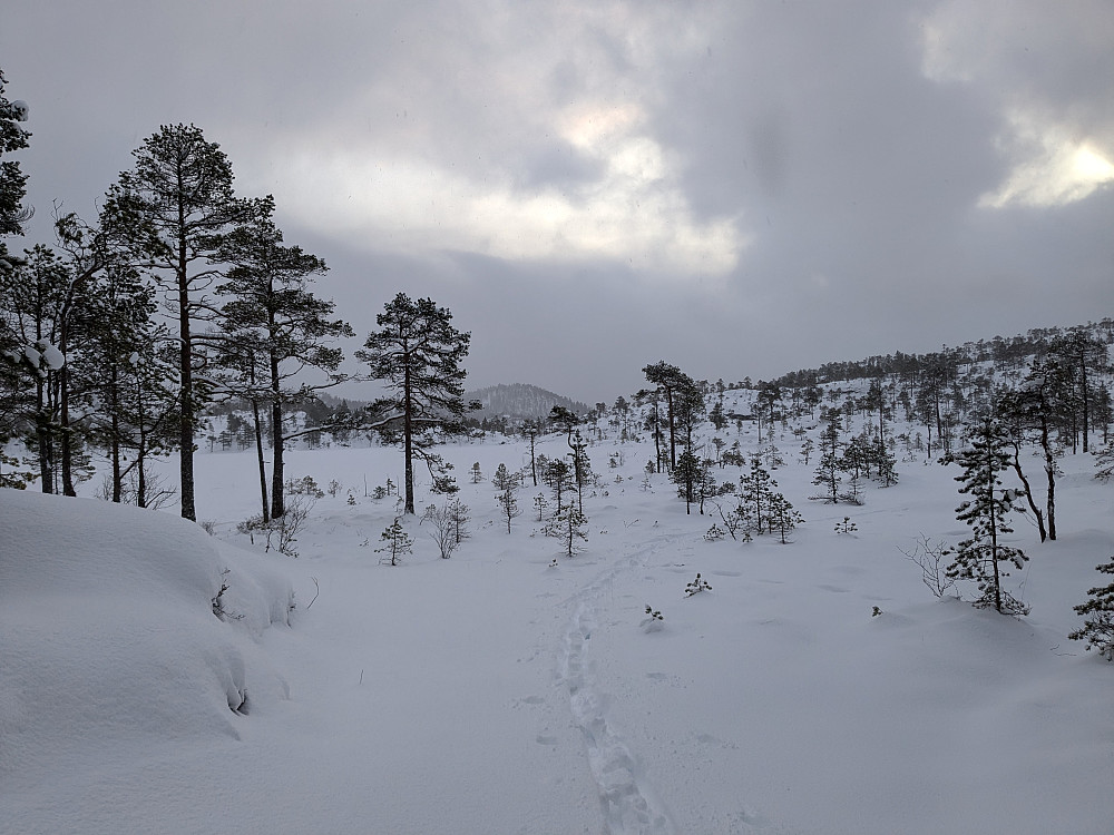 Ogntjønna