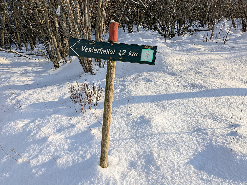 Skilting mot Vesterfjellet