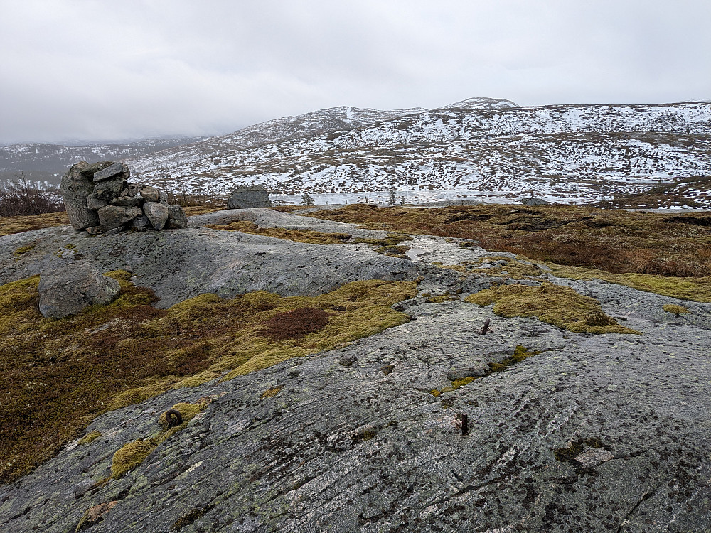 Trigpunktbolt nr. G22T0139 på høyde 368.( Fortoppen)
