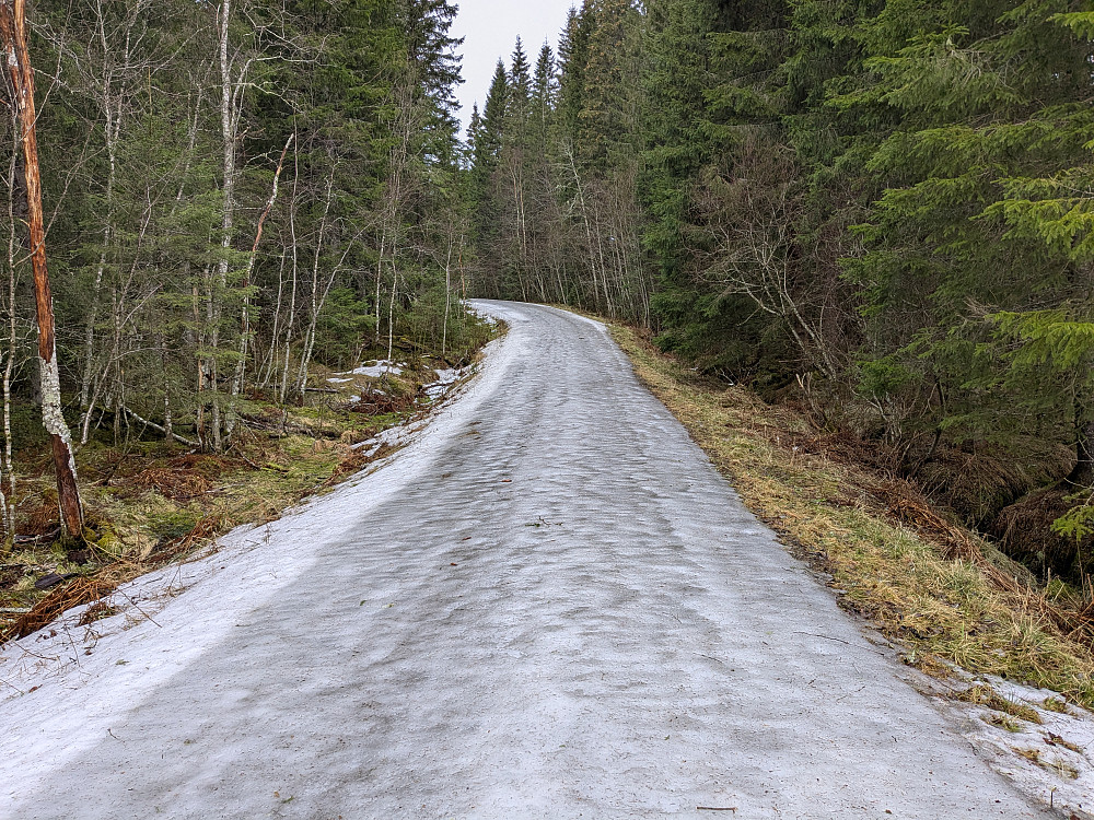 Piggskoføre