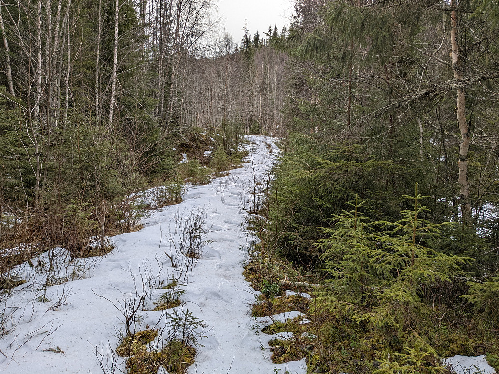Traktorveien mot Flisingen