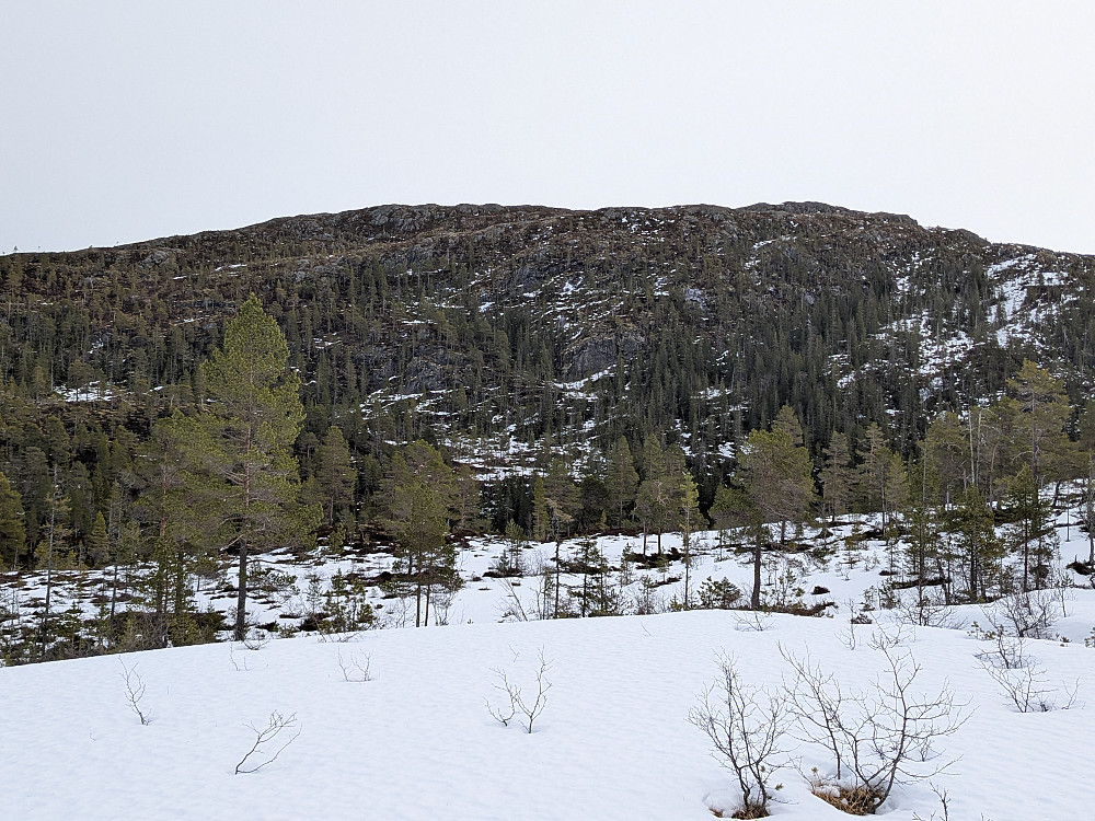 Høgaksla (459 moh) mot øst