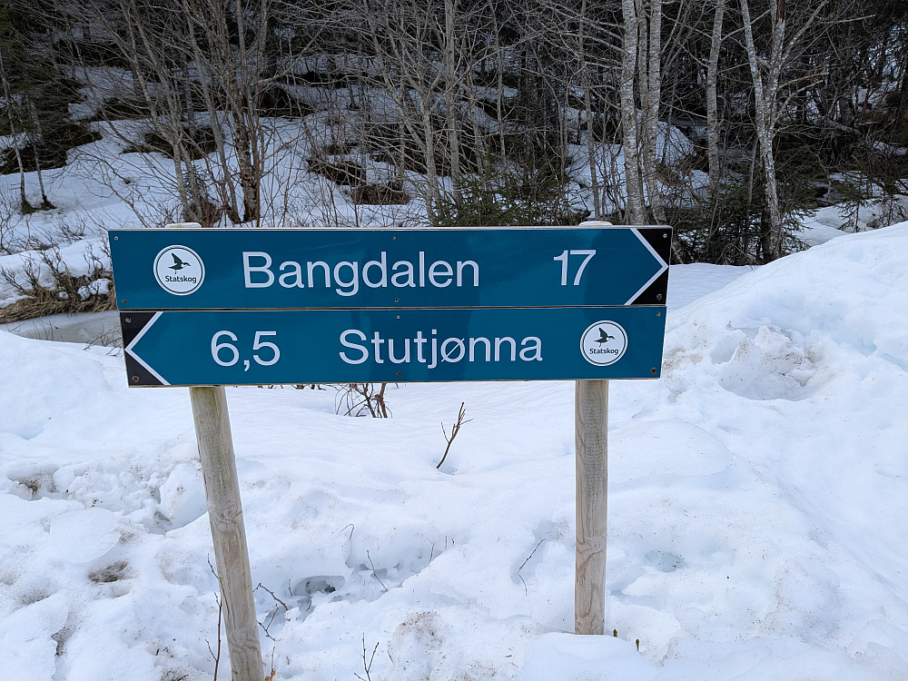 Parkering i dette krysset