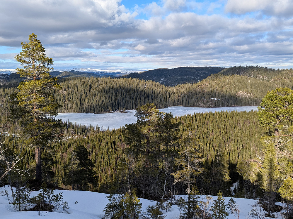 Utsikt mot Bergvatnet