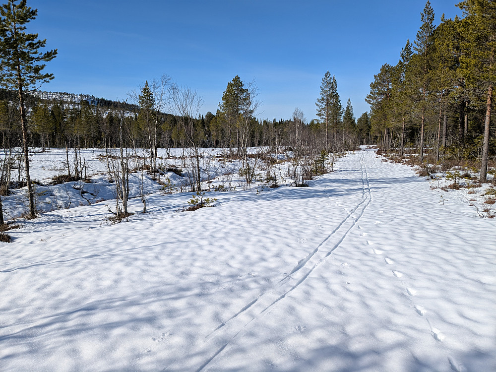 Flotte forhold på Langmyra