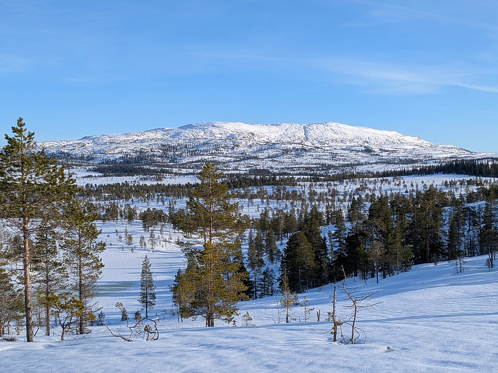 Hærvola