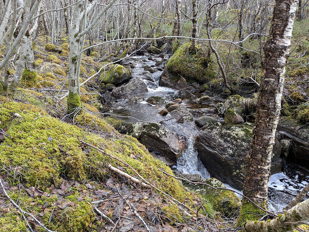 Bekken som kommer fra Ner-Fjellmyra