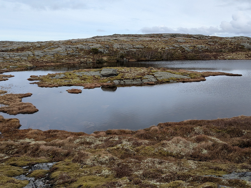 Vann 199 med holme