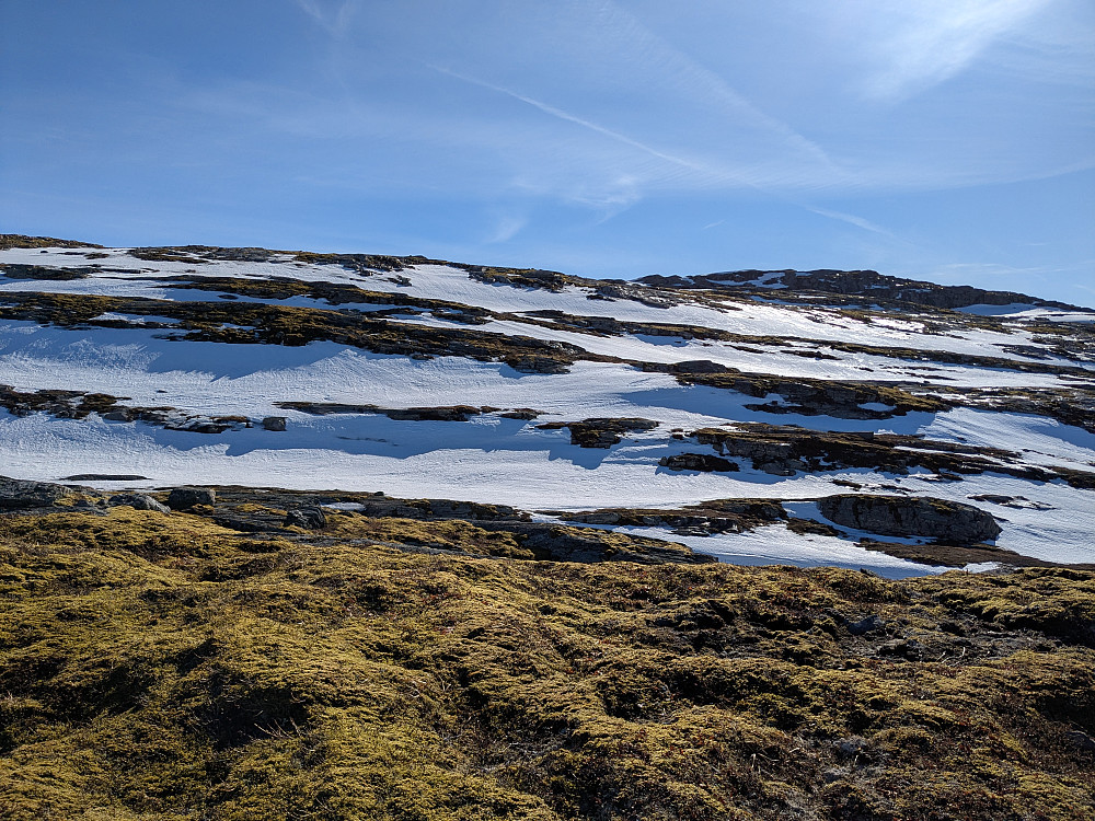 Snøflater inn mot Vetterhushatten