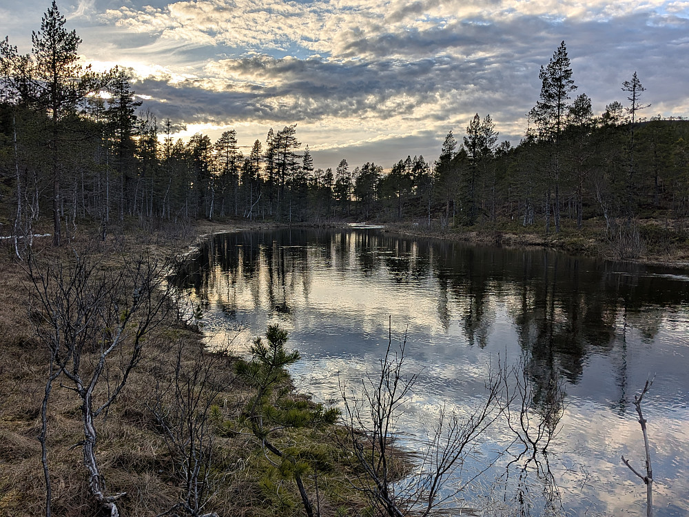 Ekornelva før fossen