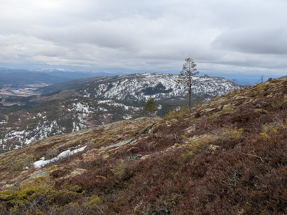 Utsikt mot Sklettfjellet