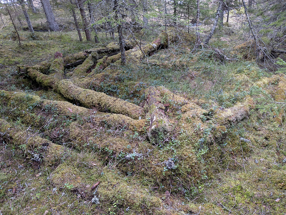 Bygningsrester ved Seterbygningen