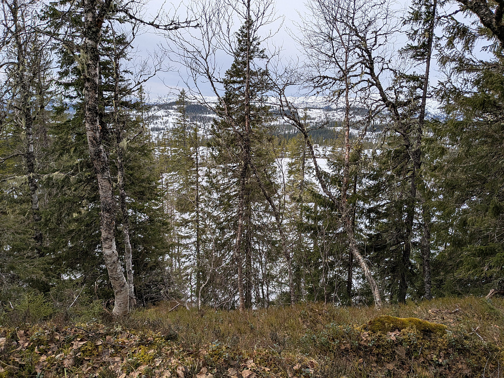 Begrenset utsikt fra Skeitjønnfjellet