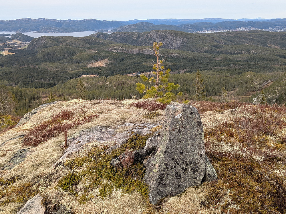 Toppen av Sørfjellet