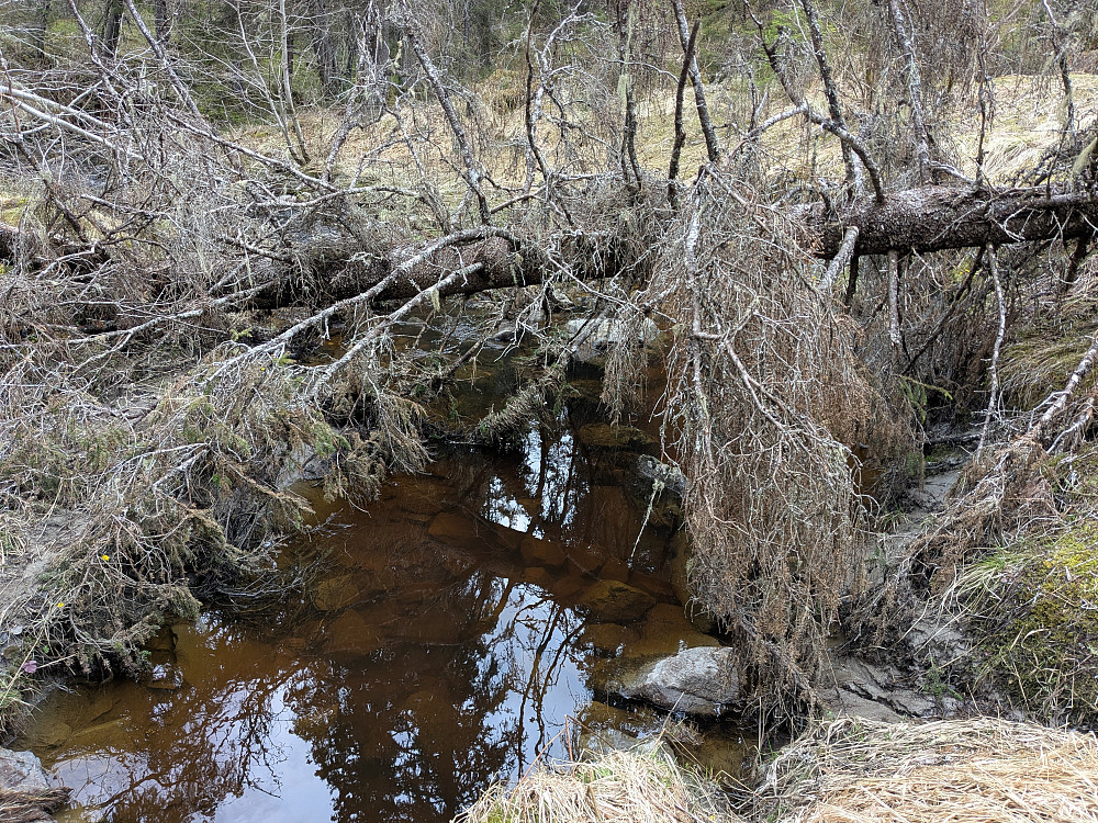 Dølaelva