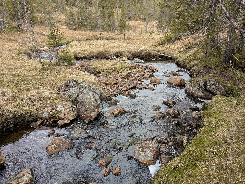 Elva fra Finndalen