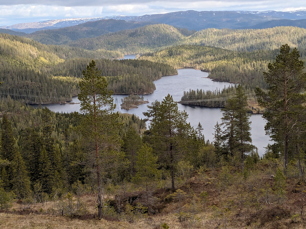 Litlsøyen