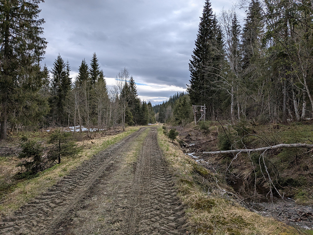 Fulgte denne skogsveien et stykke