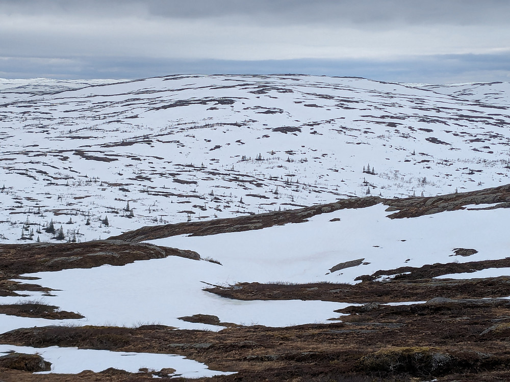 Bra med snø i vestfjella
