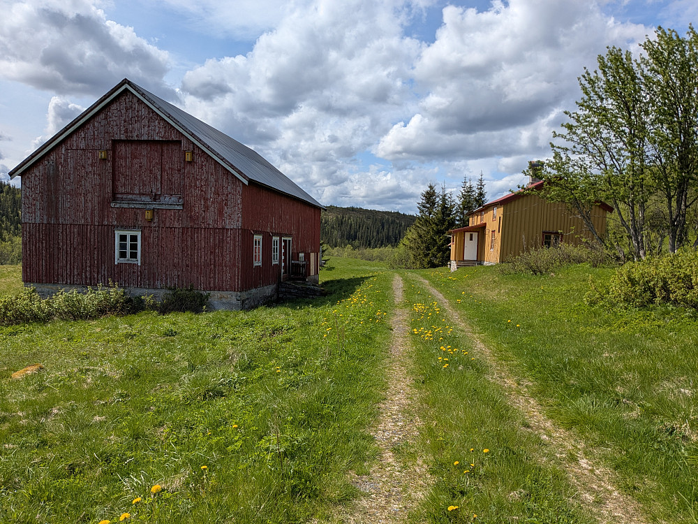 Bårdli