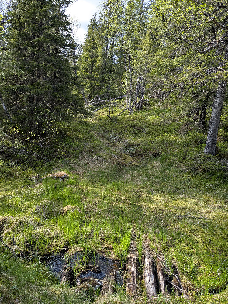 Gammel ferdselsvei