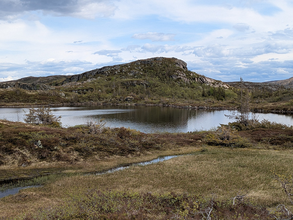 Sarabrannøya
