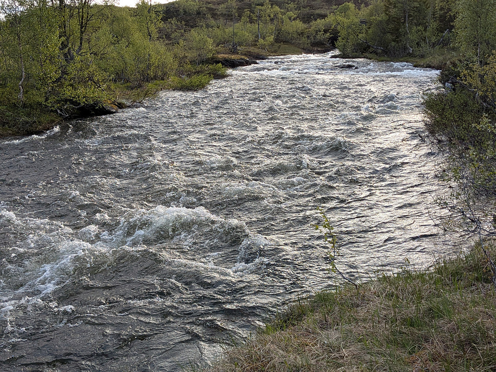 Bra vannføring i Rekarvasselva