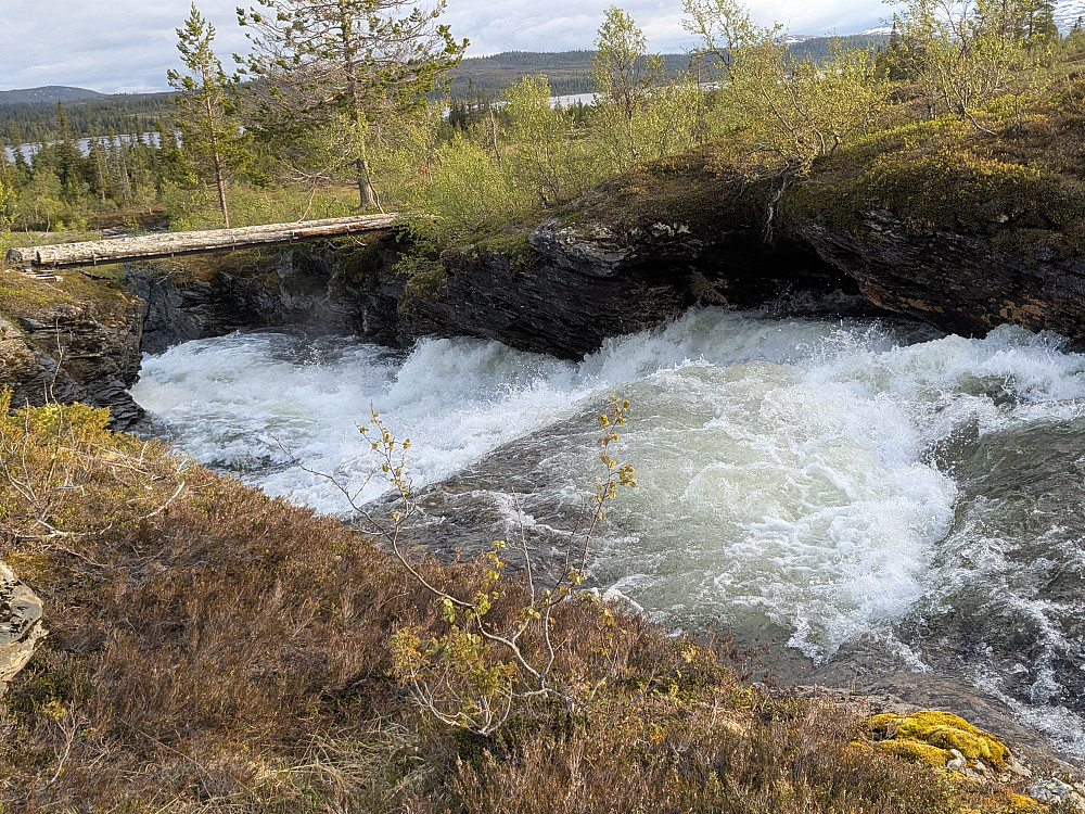 Rekarvasselva