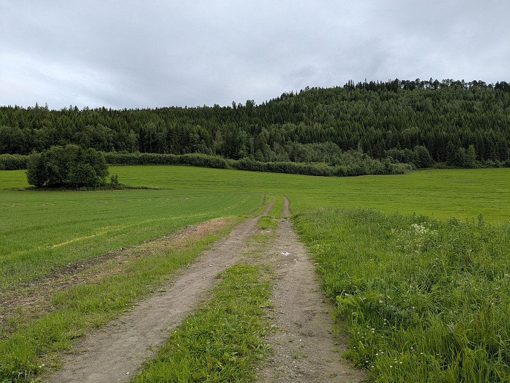 Grenneåsen bak