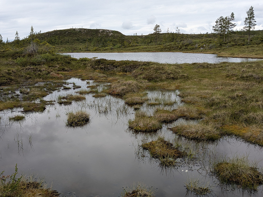 Vann 449. Revhaugen bak