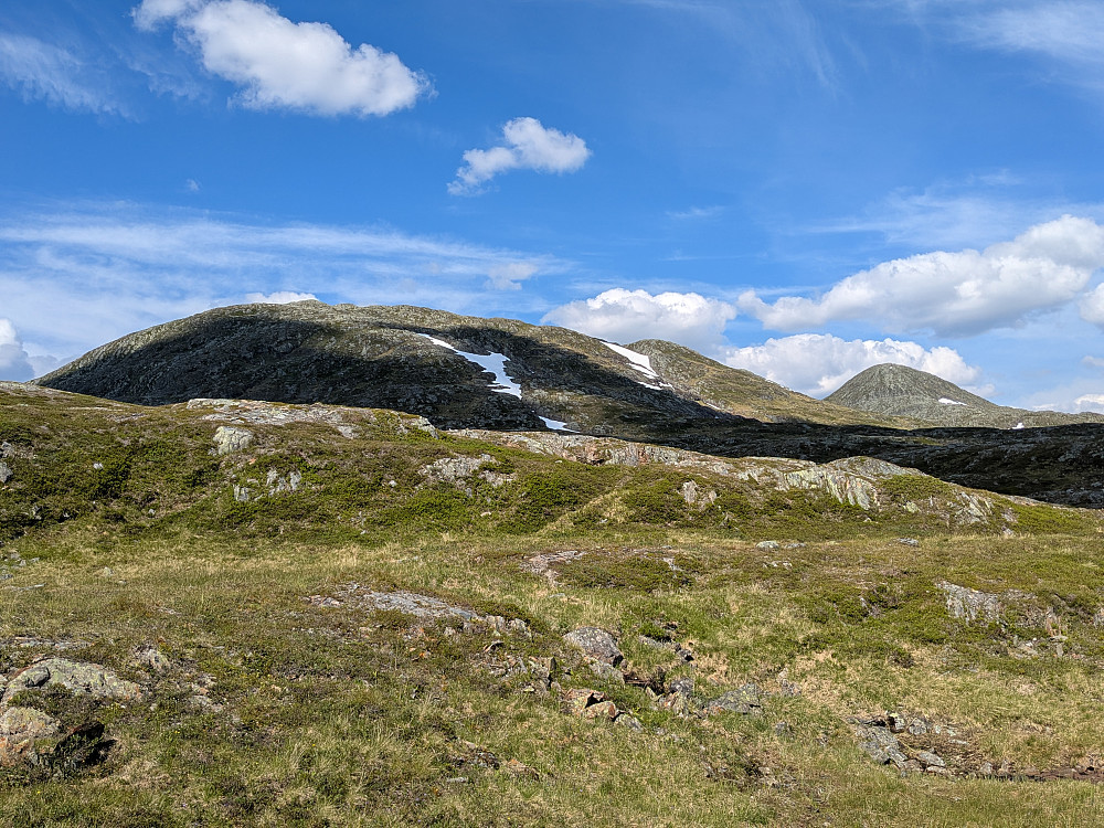 Tilhengaren