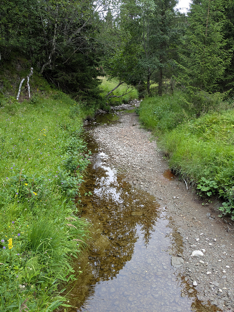 Tørrlagt bekk fra Gangnetdalen