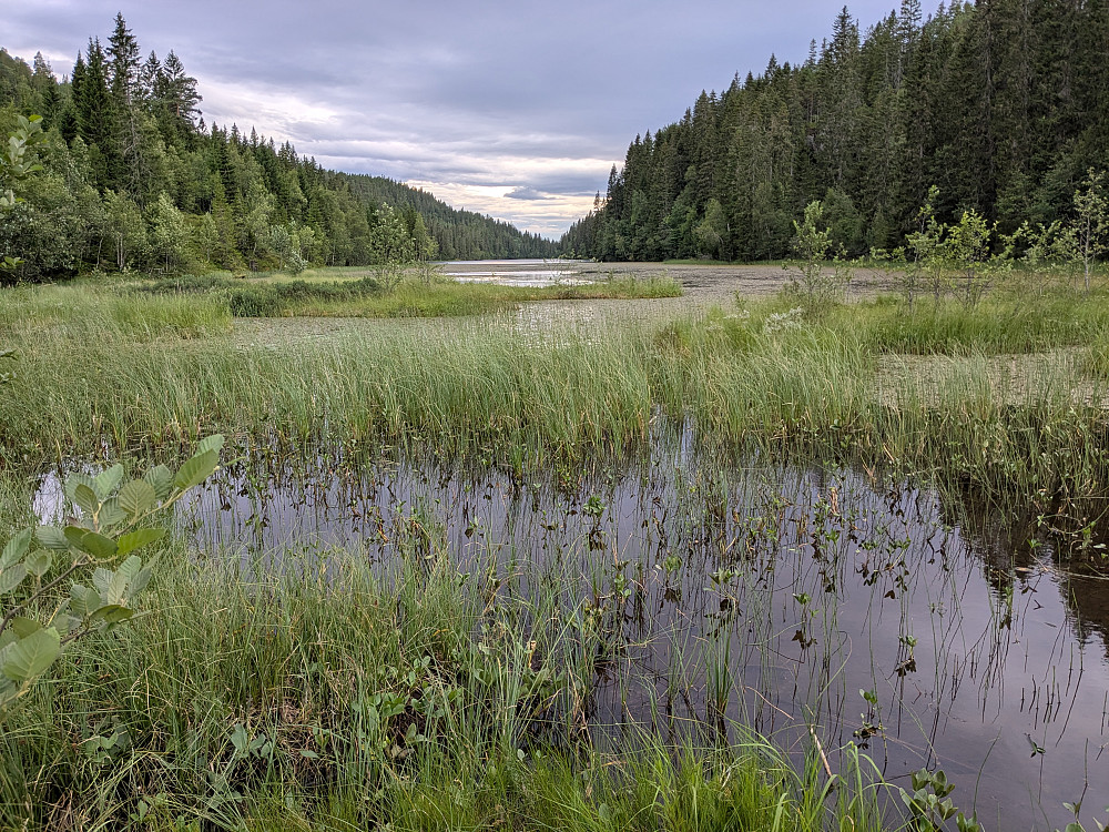 Østsiden av Møssjøen