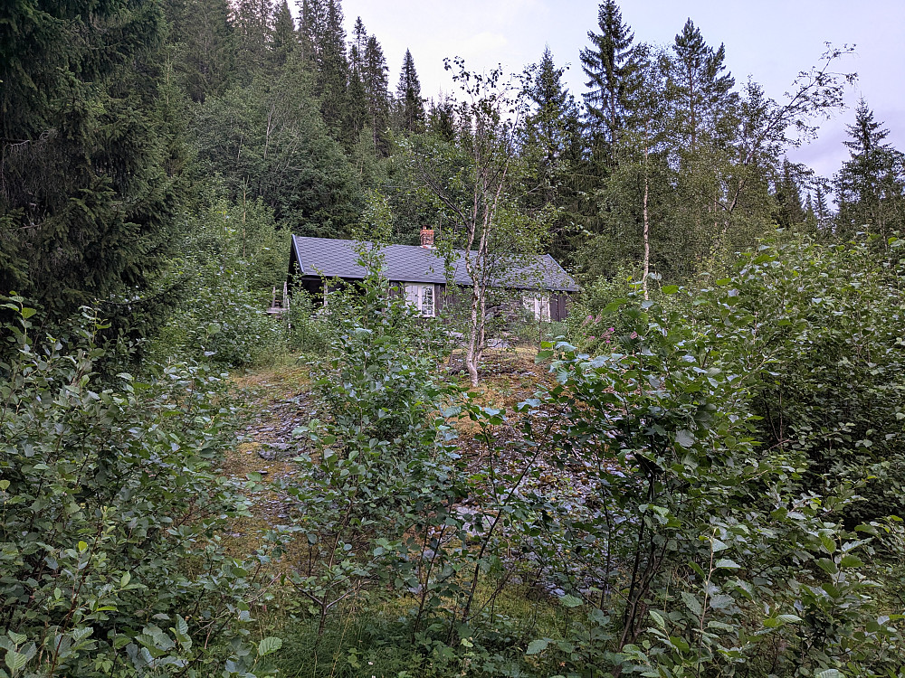 Ei hytte under toppen