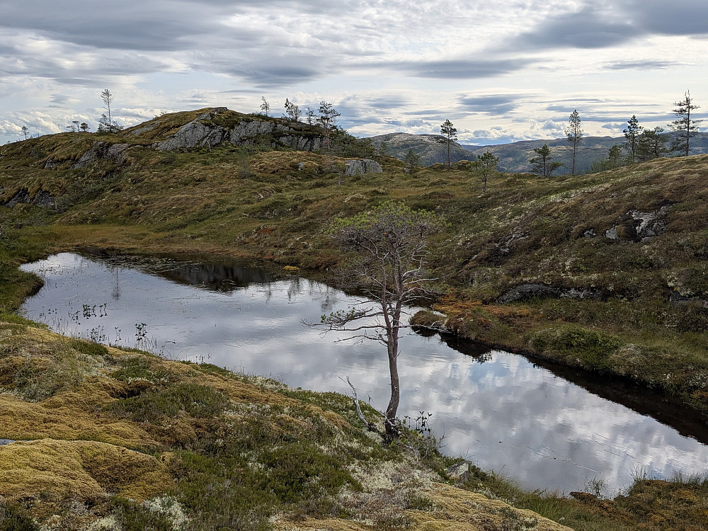 Naturperler i Namsos, Engasfjellet