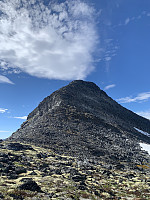 RandiFo_20220828_630b6ed6821e7.jpeg