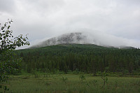 Hcone_20221214_63998e7d6b344.jpg