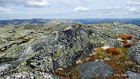  Toppen av Geitafjellet med Uncas sin varde.