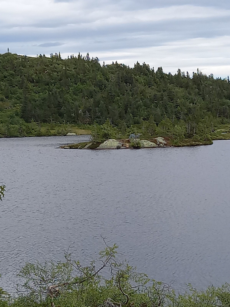 2 firbente og 2 tobente og ett telt på en liten halvøy uti Steintjern