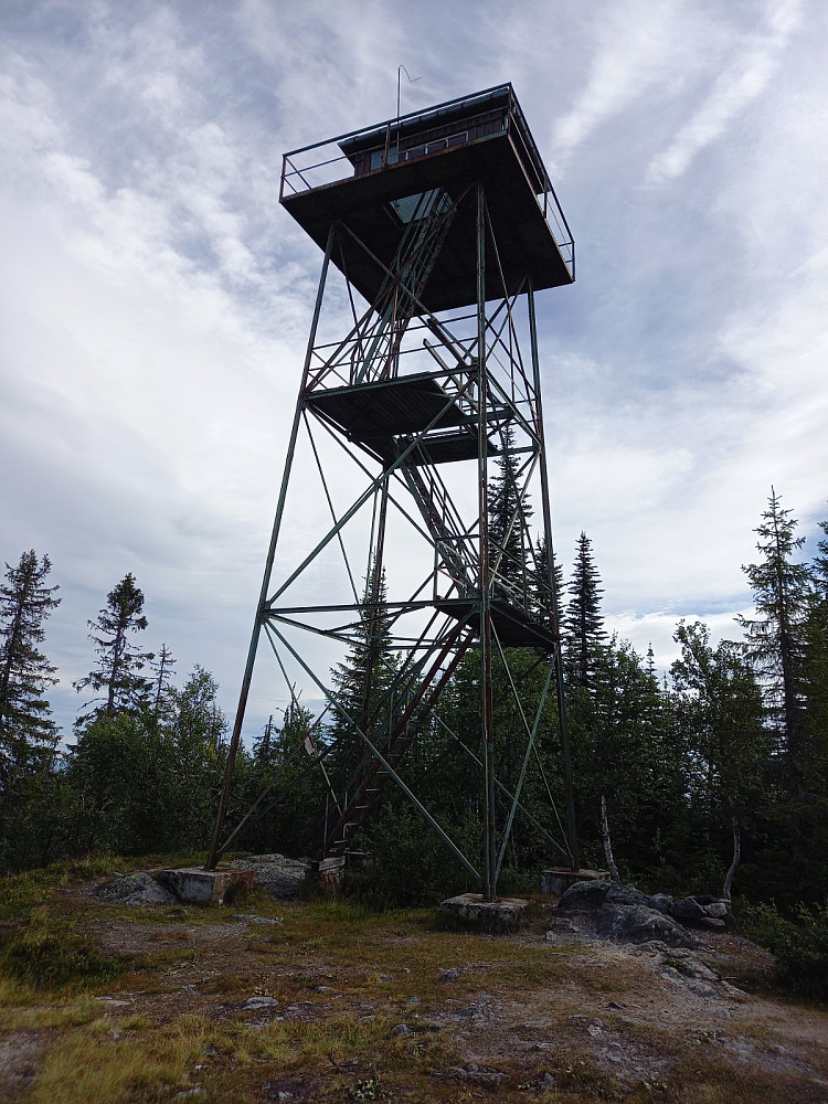 Tårnet på Store Skjellingshovde