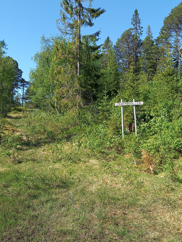 Tanemsvollen