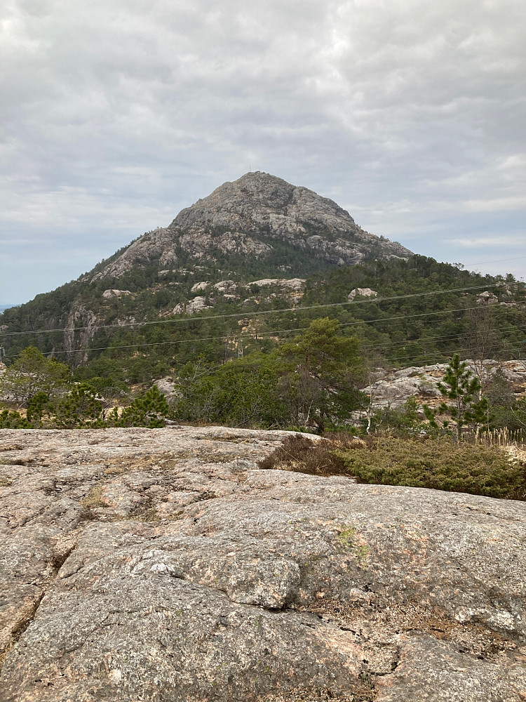 Lyderhorn fra Skarpafjellet